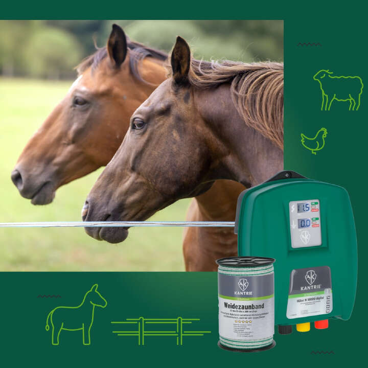 weidezaun keyvisual hintergrund